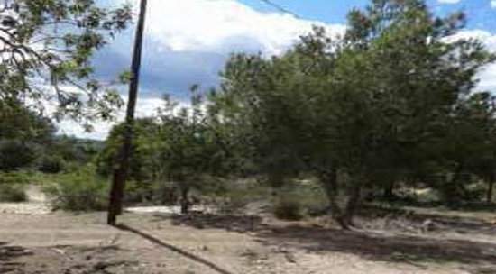 Suelo mixto en C Pinzón-Corral Blanc, Torrent Valencia