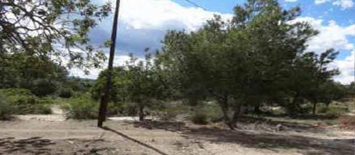 Suelo mixto en C Pinzón-Corral Blanc, Torrent Valencia