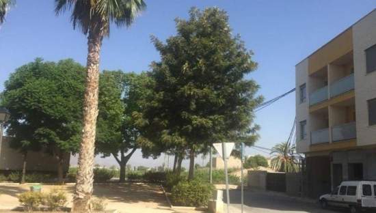 Garaje en venta en Calle Virgen Del Pilar Benejzar Alicante
