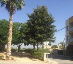 Garaje en venta en Calle Virgen Del Pilar Benejzar Alicante