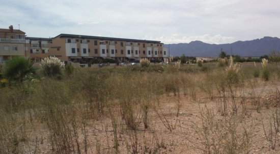 Suelo Urbanizable en C Braille