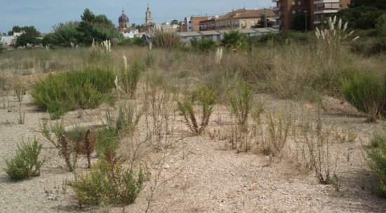 Suelo Urbanizable en C Braille