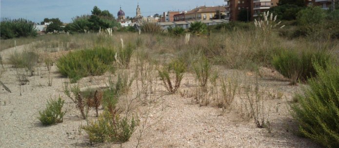 Suelo Urbanizable en C Braille