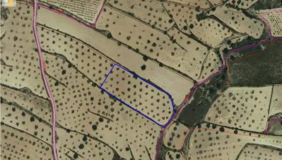 No Urbanizable Rstico en venta  en Calle Partida De Umbria Alta La Romana Alicante