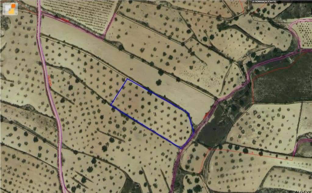 No Urbanizable Rstico en venta  en Calle Partida De Umbria Alta La Romana Alicante