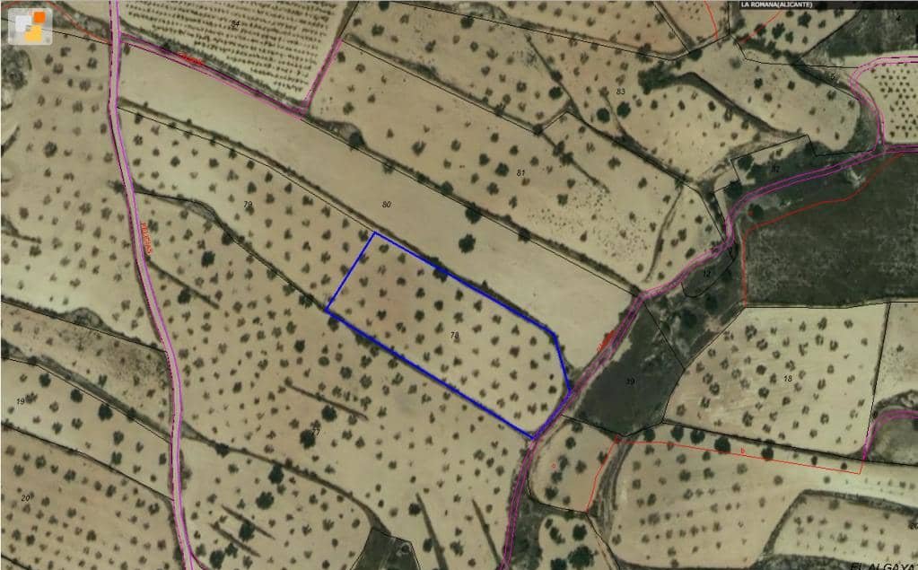 No Urbanizable Rstico en venta  en Calle Partida De Umbria Alta La Romana Alicante