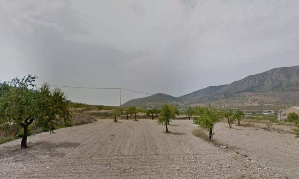No Urbanizable Rstico en venta  en Calle Partida De Umbria Alta La Romana Alicante