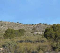 No Urbanizable Rstico en venta  en Pasaje Solana De La Pava Yecla Murcia