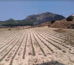 No Urbanizable Rstico en venta  en Pasaje Solana De La Pava Yecla Murcia