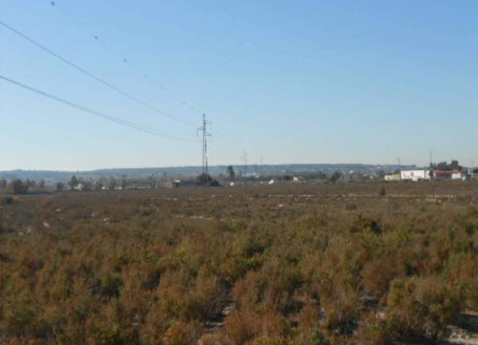 No Urbanizable en venta en Partida Carrizales Santa Pola Alicante