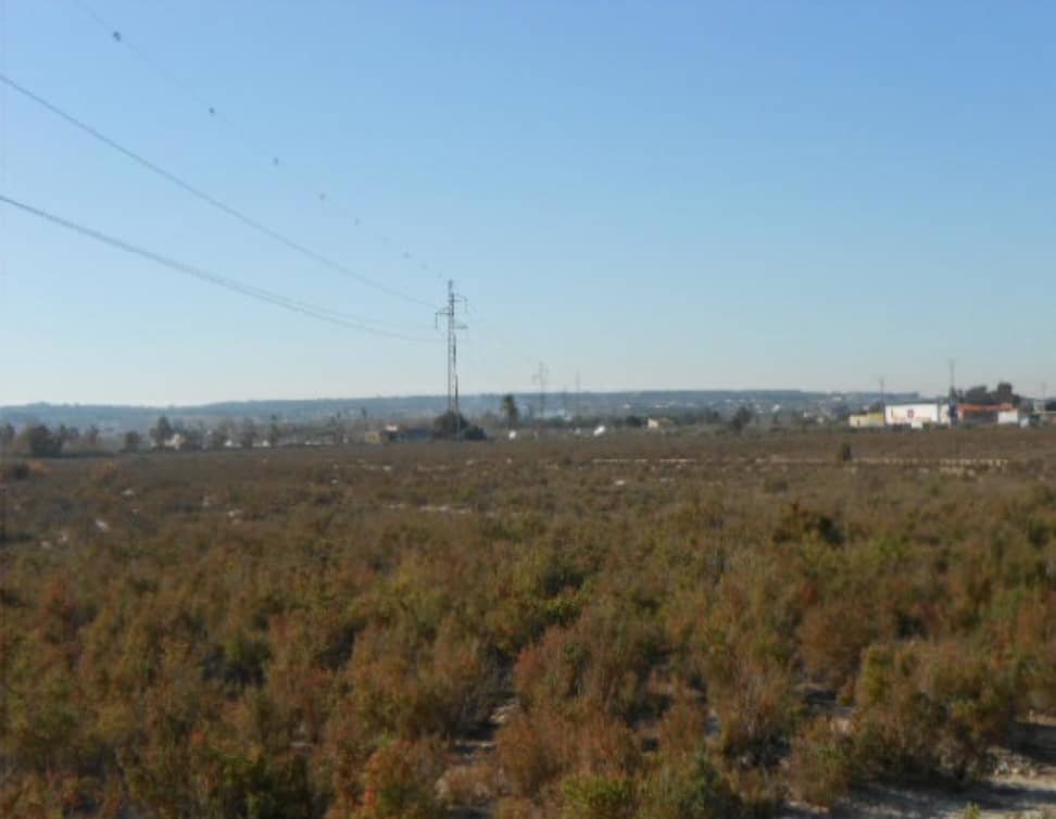 No Urbanizable en venta en Partida Carrizales Santa Pola Alicante