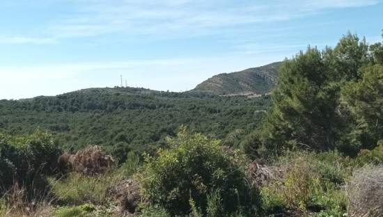 Terreno en venta en Oropesa Del Mar, Castellón