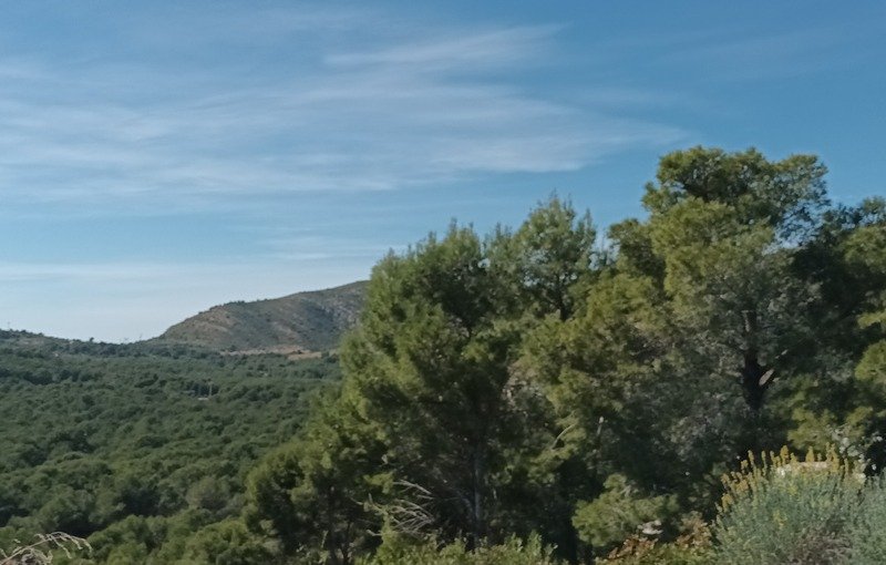 Terreno en venta en Oropesa Del Mar, Castellón