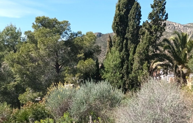 Terreno en venta en Oropesa Del Mar, Castellón