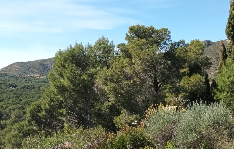 Terreno en venta en Oropesa Del Mar, Castellón