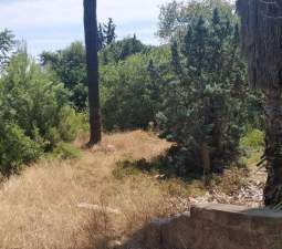 Urbanizable Programado en venta  en Avenida Vicente Cremades Btera Valencia