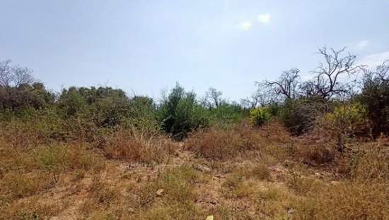 Se vende suelo urbanizable residencial por 15000 con 737m en chospital Alcal de Xivert