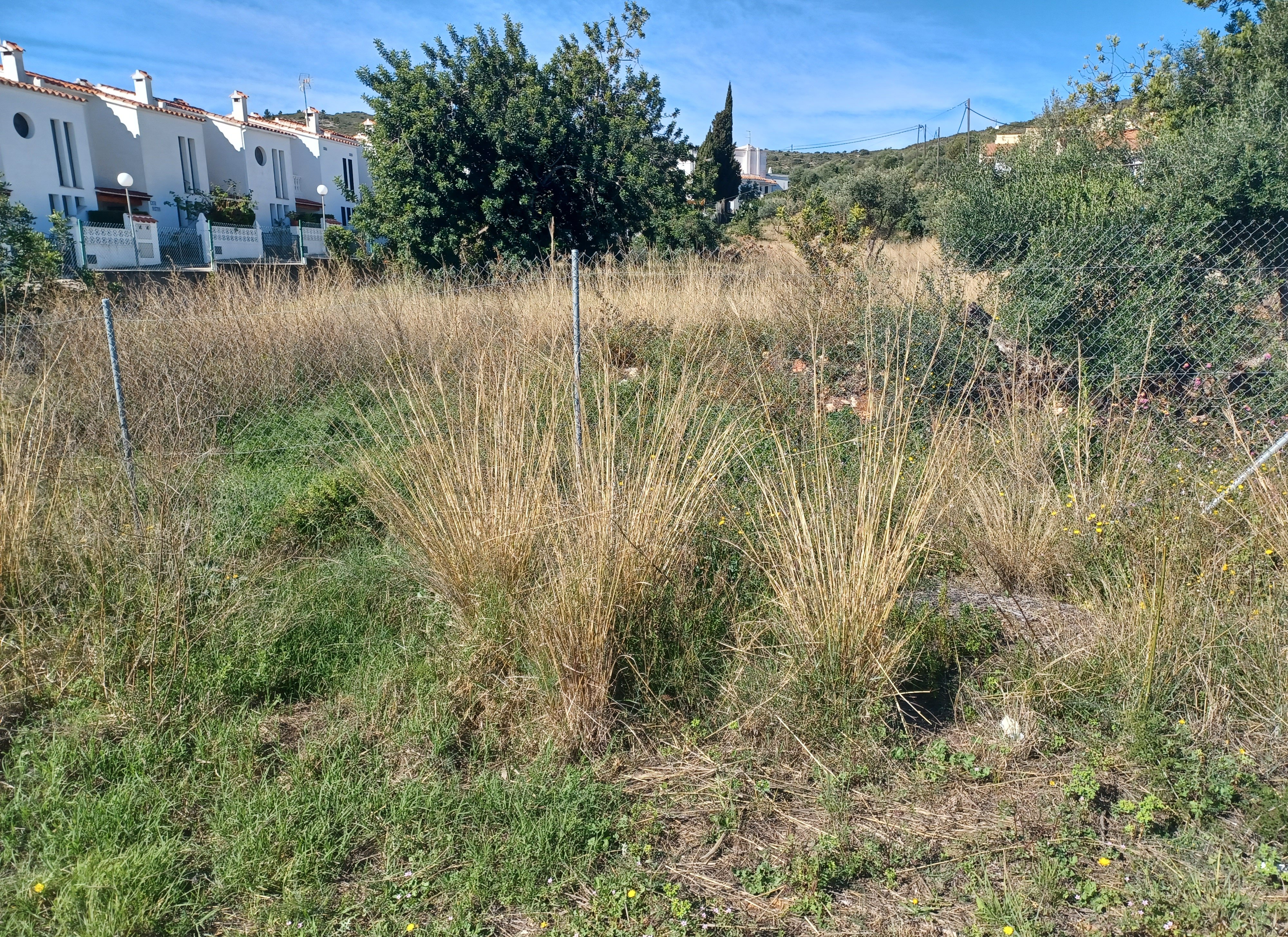 Suelo urbano no consolidado en Pt Roquetes - Pol VI -  Peñíscola -