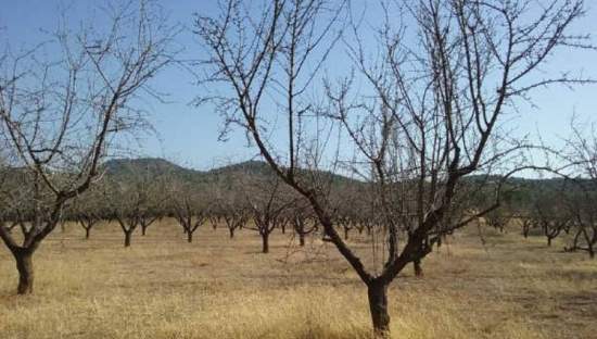 No Urbanizable en venta  en Partida Horquera Vilamarxant Valencia
