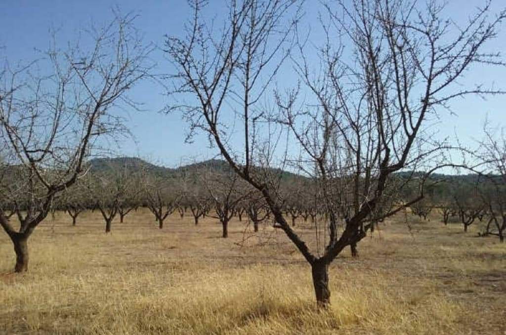 No Urbanizable en venta  en Partida Horquera Vilamarxant Valencia