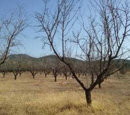 No Urbanizable en venta  en Partida Horquera Vilamarxant Valencia