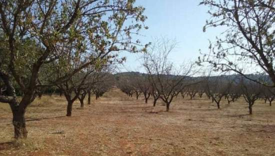 No Urbanizable en venta  en Partida Horquera Vilamarxant Valencia