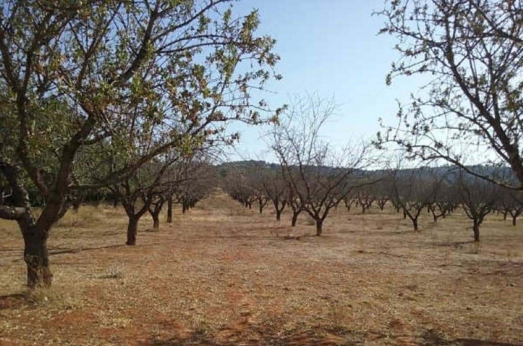 No Urbanizable en venta  en Partida Horquera Vilamarxant Valencia