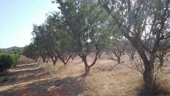 No Urbanizable en venta  en Partida Horquera Vilamarxant Valencia
