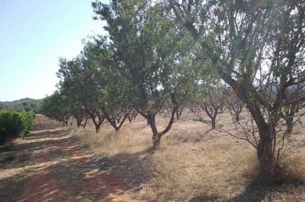 No Urbanizable en venta  en Partida Horquera Vilamarxant Valencia