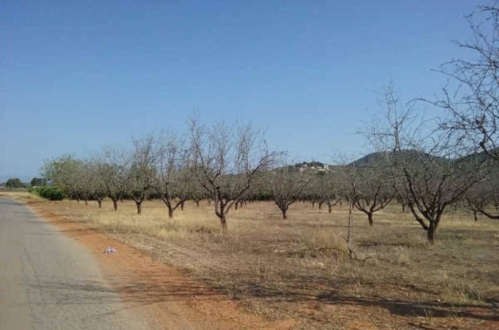 No Urbanizable en venta  en Partida Horquera Vilamarxant Valencia