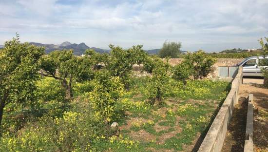 Terreno Rústico en Fuente Encarroz, Valencia