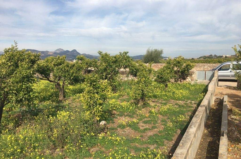 Terreno Rústico en Fuente Encarroz, Valencia