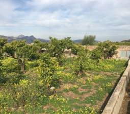 Terreno Rústico en Fuente Encarroz, Valencia