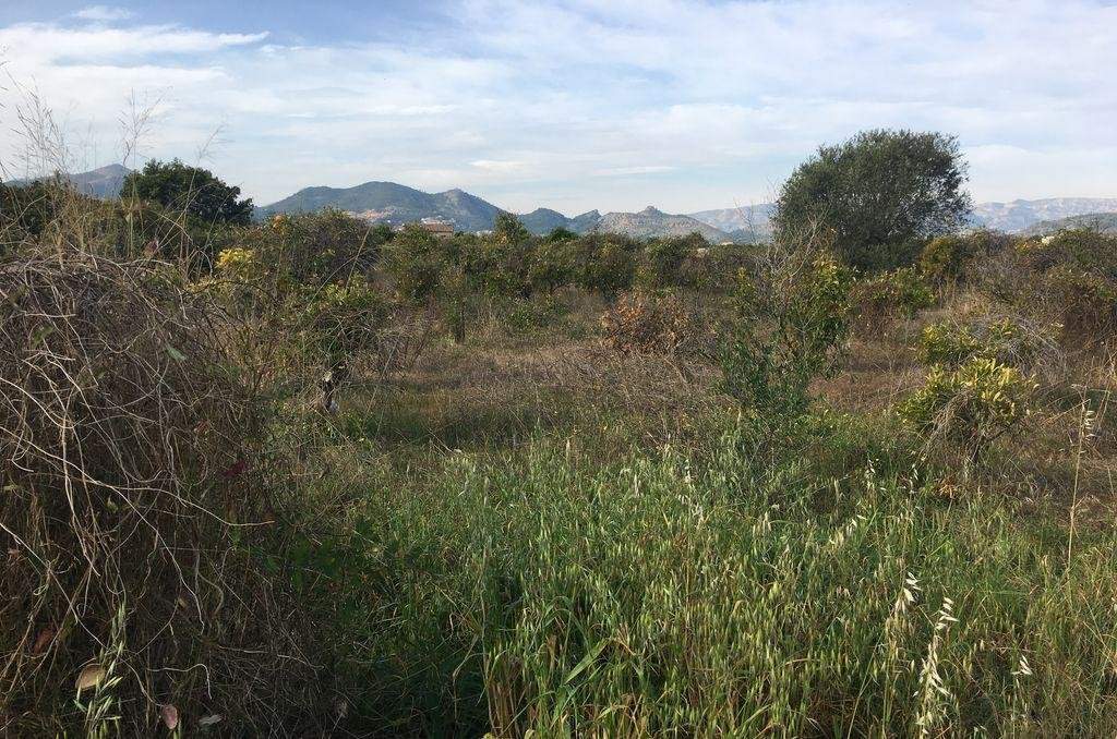 Terreno Rústico en Fuente Encarroz, Valencia