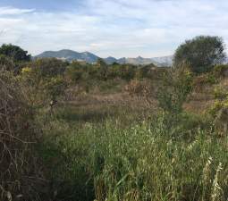 Terreno Rústico en Fuente Encarroz, Valencia