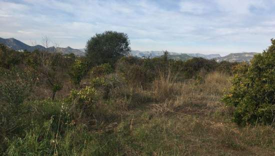 Terreno Rústico en Fuente Encarroz, Valencia
