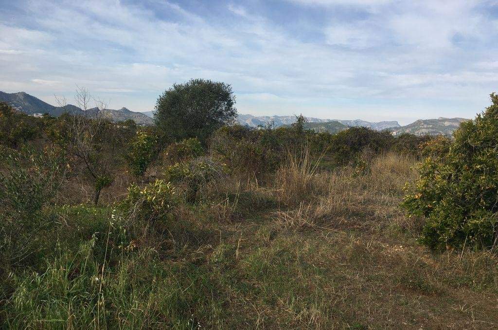 Terreno Rústico en Fuente Encarroz, Valencia