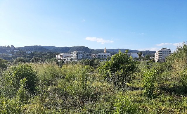 Terreno Rústico en Fuente Encarroz, Valencia