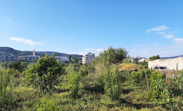 Terreno Rústico en Fuente Encarroz, Valencia