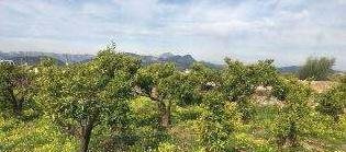 Terreno Rústico en Fuente Encarroz, Valencia