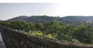 Terreno Rústico en Fuente Encarroz, Valencia