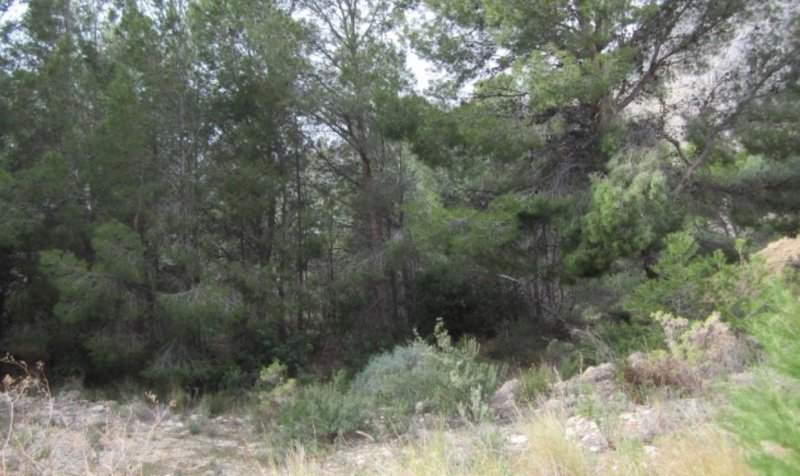 Terreno Urbano en venta en Altea, Alicante