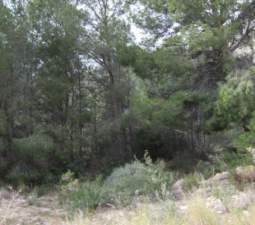 Terreno Urbano en venta en Altea, Alicante