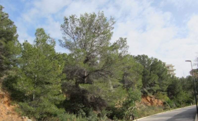 Terreno Urbano en venta en Altea, Alicante