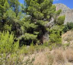 Terreno Urbano en venta en Altea, Alicante
