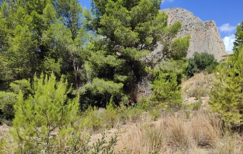 Terreno Urbano en venta en Altea, Alicante