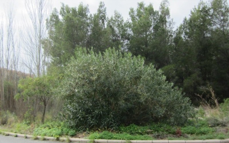 Terreno Urbano en venta en Altea, Alicante