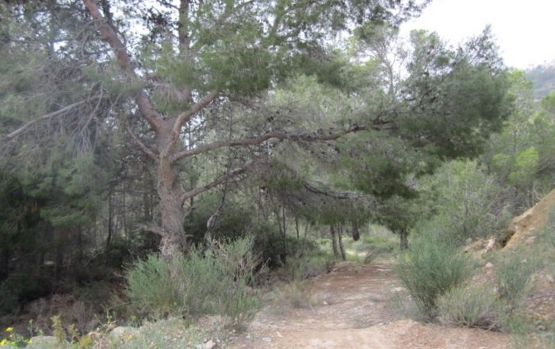 Terreno Urbano en venta en Altea, Alicante