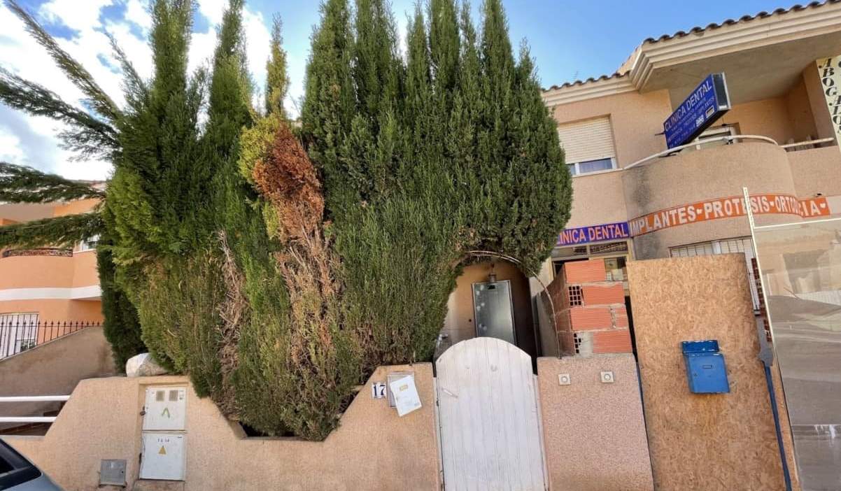 Chalet adosado en venta en Calle Doctor Severo Ochoa, 30730, San Javier Murcia