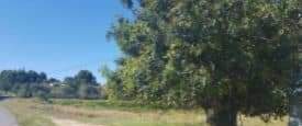 Urbano Solar en venta  en Calle Caada Real Colonia Tosal Ii Montserrat Valencia